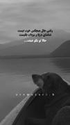 رفت رفتنی شدی وقتی حرفاتو باور کرده بودم💔