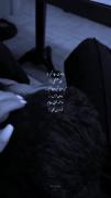 مِـثل بُرد بود باخـتَن قَلبَـم بـه تو🦋✨>>>
