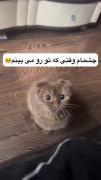 وقتی که قلبمو میبینم دقیقاً این میشم H