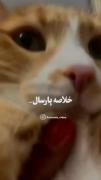 ولی سال ۱۴۰۳ خیلی زود گذشتــ😭😭