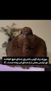 آرامش‌بخش‌ترین آواز پرنده: صدای دلنشین طبیعت