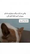 هیییی زخم خورده ها دستا بالا 🦥 