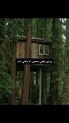 رویایی بچگیمون که هیچ وقت واقعی نشد :