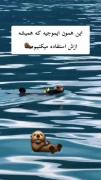 این همون ایموجی هستش که ازش استفاده میکنیم🦦
