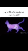 هرچقدر سریعتر پلک بزنی تندتر راه میره: 🙂