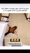 جارو رو انداخت ولی چون نتونست جمعش کنه: 😂
