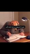 جوری که اردیبهشت و خرداد قراره بگذره: 