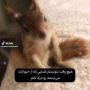 هیچوقت نتونستم کسایی که از: 🥺