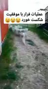 منو دوستام درحال فرار کردن از مدرسه که ناظم موچمونو میگیره😂😂💔