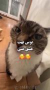 بوس بهت............ 😂😂😂😂😂