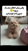 تصویری که از خودم دارم : ‌ ‌ ‌ ‌