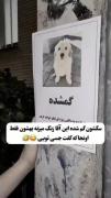 جسی جون تویی ؟🤣🤣‌‌‌‌‌‌‌‌‌‌‌‌‌