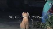 مناجات گربه ای و گلایه از سنگدلی انسان‌ها به درگاه خدا