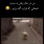 حقققققققق 👅🤣😝👅🤙🏻🤙🏻اگه نی بگو