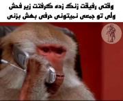 لینک ناشناس👈https://daigo.ir/secret/91221454233حرفی چیزی..