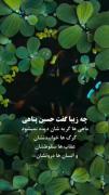 *********حسین پناهی***********