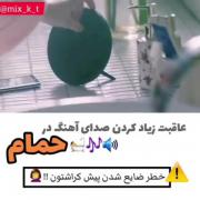 *****************************************************