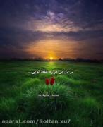 *****************************************