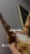 دلم برای پارسال تنگ شده 🥺🥺🥹