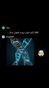 چت جی پی تی واقها چیز جالبیه،جدی میگم | چت جی پی تی