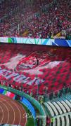 دورت بگردمممم پرسپولیسم عمرم🙂💗