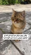 هعییییییییییییییییییییییییییییی