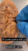 یا خود خدا این چی بود من دیدم،