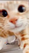 لایک₱®™}¢^€€€€€€€€€°°°°°°°°°°°°°°°