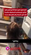خارجیا ب روش ایرانی ها روی آوردن 😂