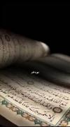 ✨َََََََََََ. َََََََ. ََََََََ