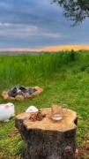 حس خوب آرامش در طبیعت با دعای روزی حلال