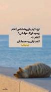 هعیییییی😔واقعا دیگه از این به بعد باید به تریاک رو بیاریم🥴🤕