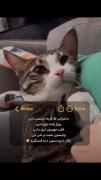 دنیا با بودن ادمایی مثل ما جای خوبیه😌