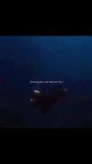 🌊🌫🩵ــــــــــــــــــــــــ