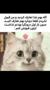یکی از بدبخـــــــــتی های درونگراها