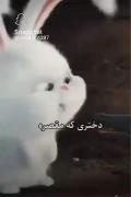 دختری که مقصره وقتی بزنه زیر گریه... 
