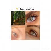  زیبایی چی؟ خورشید جنگل شب دریا