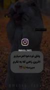 کیا این جوری هستن.............