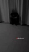 می‌رسد‌شبی‌که‌دیگر‌فردایی‌نیست!.️ 