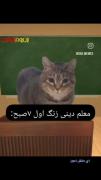 ولمون کن دیگه زنیکههه حال نداریم