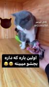 میزان علاقرو میشد از چشماش خوند😂