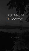  _ الان فقط دلتنگی داره _