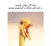 شما الان جوان هستید و باید قدر نشاط و انرژیتون رو بدونید.