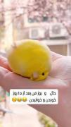حال و روز من بعد از ۵ روز خوردن و خوابیدن🤣😂