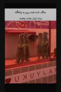 جنگ شده همه برین پناهگاه . مردم ایران 😆