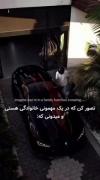 به امید اون روز ادامه بده .....