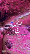 چه قدر اینجا کیوته منم می‌خوام برم اونجا❣️😑