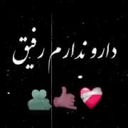 همیشه باید تو همه ی پست یک پست از رفیقت بزاری
