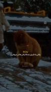 چه راحت آدمارو ول میکنی ‌‌‌‌‌‌‌