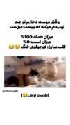 کلیپ گربه های بازیگوش: لحظات فان و سرگرم کننده